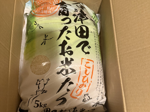 令和7年新米　谷津田で育ったお米たち
千葉県産こしひかり　1等　精米　5kg
