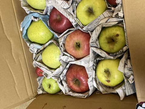 季節のリンゴ食べくらべ　訳あり家庭用（約4.5㎏）10～20玉
サンふじ、ぐんま名月など、2種類からお届け　
大きさ、形やキズなどで贈答用になれなかったりんごたちをバラ詰めで　信州長野県産