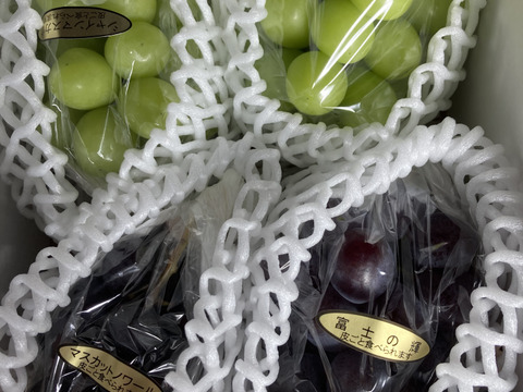 3種ぶどう食べ比べセット！ 超希少新品種富士の輝き、マスカット