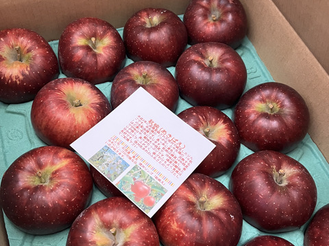 濃い味りんご「秋映　あきばえ」家庭用訳あり　たくさん食べたい約5キロ 　ご好評販売中！！
