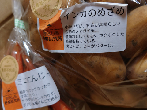 黄金のじゃがいも！　インカのめざめ　2㎏