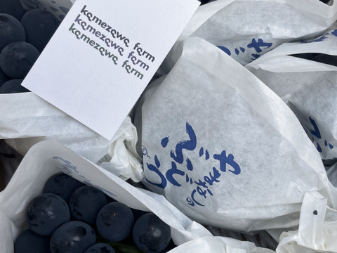 山梨県産　家庭用　巨峰　2キロ（4〜6房）