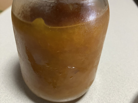 家庭用山形在来梅1kg