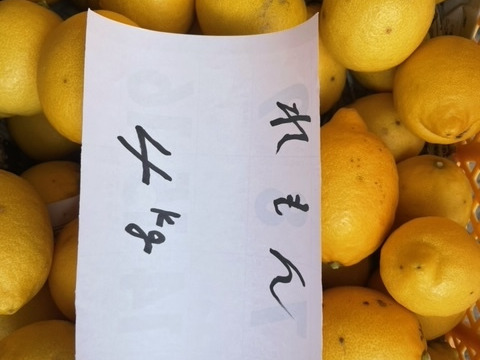倉橋ミカン食べてクレ園の、無農薬レモン（約4kg）（無選別）広島県　倉橋島レモン