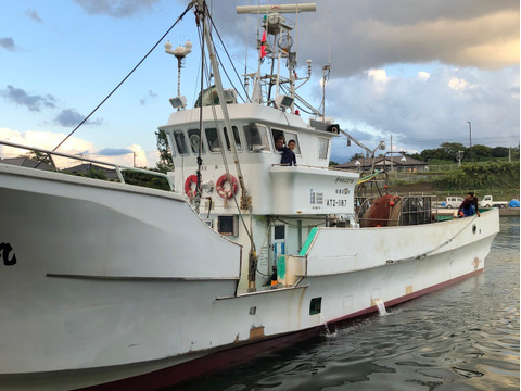 【数量限定】秋田県にかほ市産本ズワイガニ　3〜5匹で1キロ