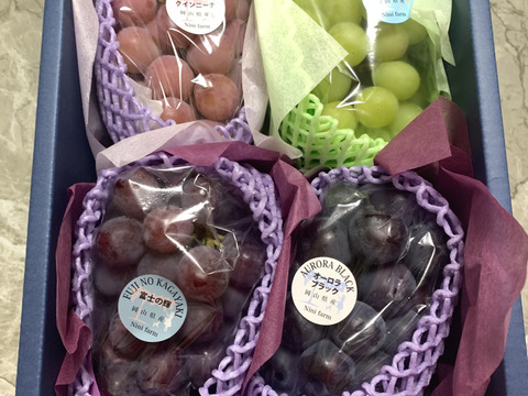 【数量限定】希少品種4種詰合せ 富士の輝&オーロラブラック&クイーンニーナ&1品種 (合計約1.6kg) 秀品ランク 岡山県産(熨斗対応可)