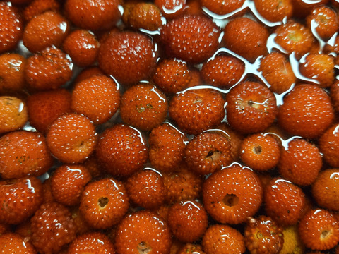 ★天然　野いちご　300グラム　冷凍品　　チルド専用箱にて発送★