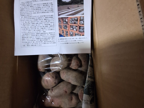 【ベジLIFE!!おススメ】☆レアじゃが☆グランドペチカ5㎏