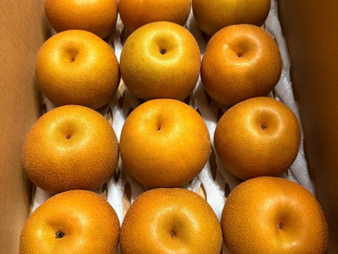 酸味と甘みが最高豊水梨栃木県産3㎏（6－9玉）