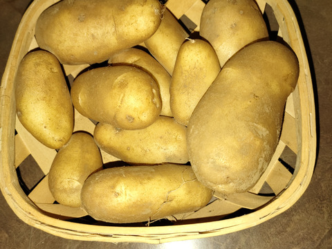 【新じゃが】皮までおいしいメークイン！