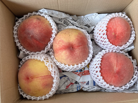 山梨県産 極上甘い桃 家庭用(5玉前後)：山梨県産のアルプス美人｜食べ