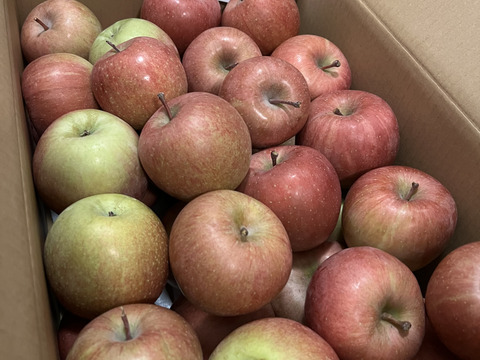 加工用りんご🍎10キロ