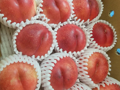 ネクもも🍑ハネージュ🍑3キロ箱 訳あり家庭用：山形県産の