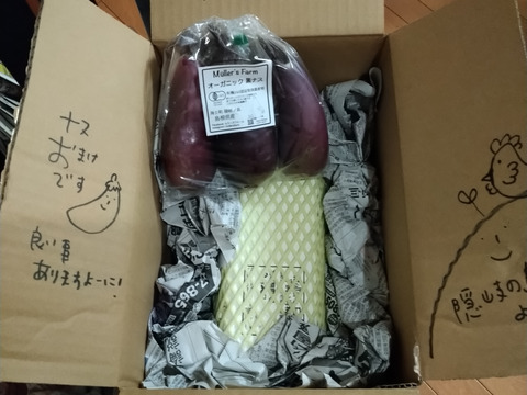 幸せ島育ち！✨有機野菜を食べて育った平飼い有精卵　30個　Happy Eggs
