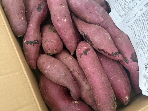 訳あり！熟成紅はるか　5kg  さつまいも