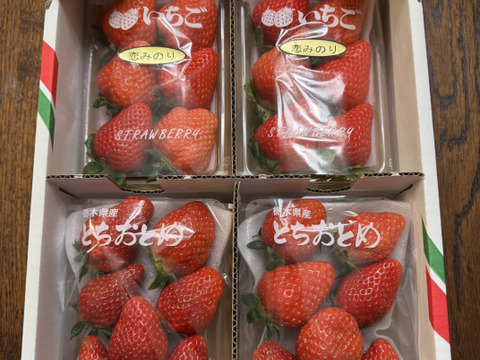 【限定SALE!】
恋するおとめちゃんセット
完熟恋みのりととちおとめの食べ比べ
【いちご食べ比べ】