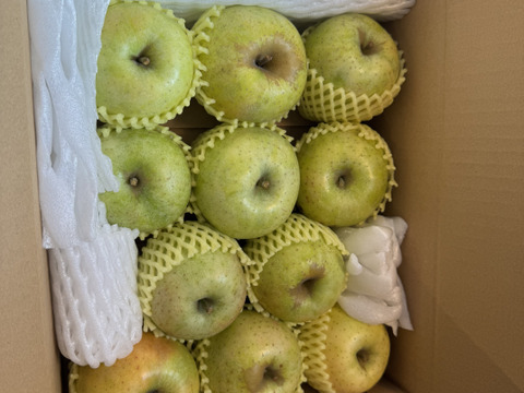 【家庭用】王林 約2.5kg 6-14玉 昔ながらの定番青りんご 11月上旬頃発送 家庭用#NAO0B025