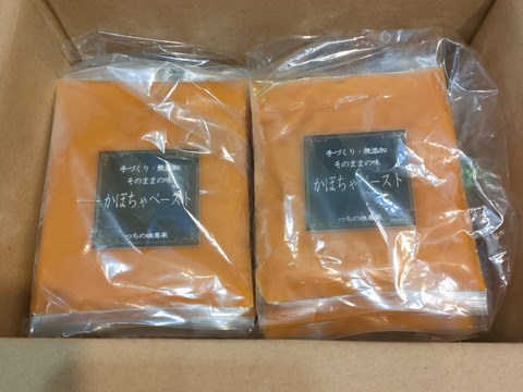 小分けで使いやすい！「かぼちゃのペースト」100ｇ×10パック