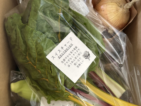 【箱いっぱいにお届け！】農薬不使用キラピカ旬野菜BOX11〜12品、朝穫れ農の島＊大三島＊よりお届け！