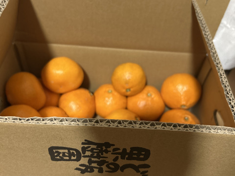 【訳あり】完熟早生みかん　5㎏