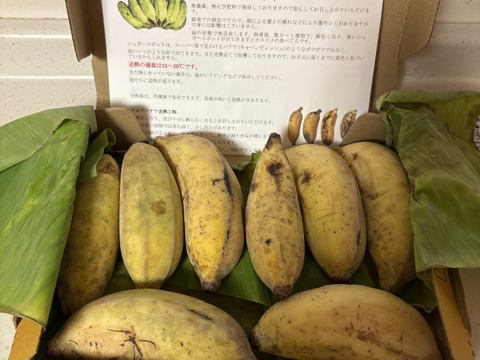 【特別価格！】沖縄産ナムワバナナ１kg