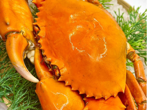 【父の日ギフト】浜名湖海鮮詰め合わせ【竹セット
】