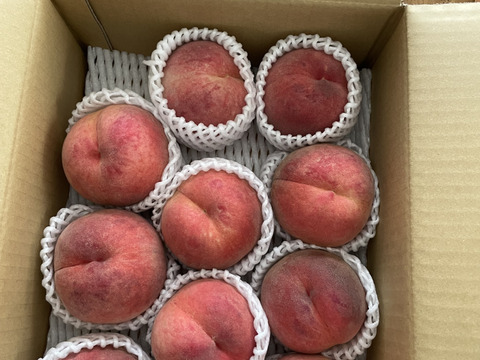運命の出会い⁉️【67品種の桃を栽培】品種は何が届くかお楽しみ！白桃3㎏【夏ギフト】