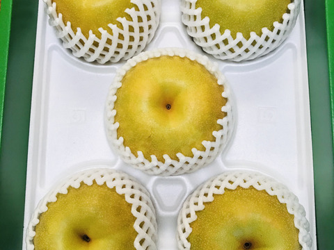 【PREMIUM幸水梨3kg】贈答用( 特大5~7個) 甘くてジューシー💦まるで梨ジュース🥤ひとつひとつ色付きを確認して樹上完熟で収穫😋特大梨の収穫量が増えました‼️