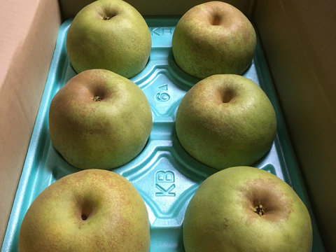 芳醇な香り、濃厚な甘さ　かおり梨 5kg 5〜7玉