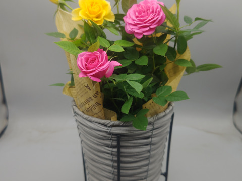 早割価格!!【母の日ギフト】ローズスタンドバスケット・・・4/27-5/8発送