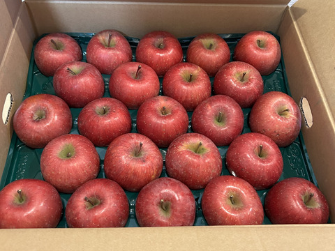 訳あり品　特価　今年も🥈受賞！！サンふじ１０ｋｇ（４６玉）
りんご品評会　県知事賞（２０２４年）最優秀賞受賞