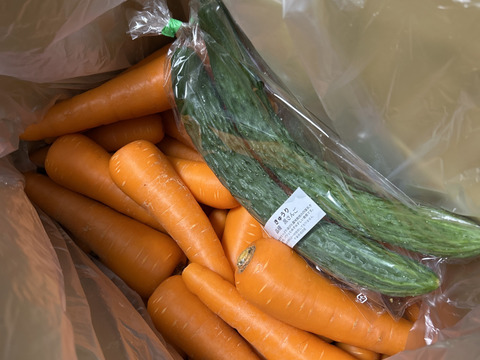 豊かな大地で育った人参(4.5kg) 農薬化学肥料不使用  旬のお野菜1品オマケ付き