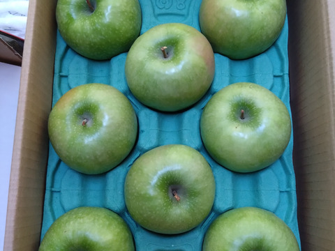 ⚠︎1月7日から発送🍎【パティシエに大人気！ 】グラニースミス 3キロ箱使用　6玉〜16玉サイズ　商品ID502241  信州 安曇野 リンゴ 幻 幻のリンゴ 予約 希少 旬