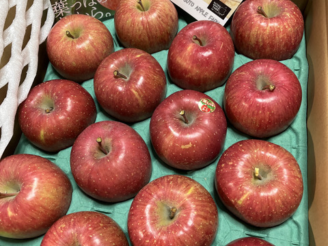 濃厚な果汁！葉とらずサンふじ5kg