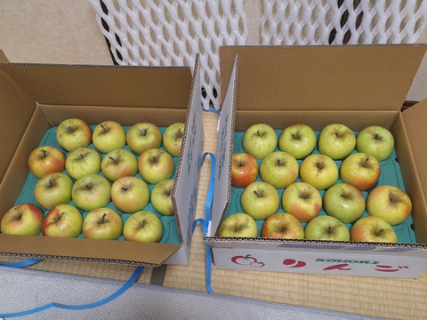 【販売開始！】青森県産りんご「ぐんま名月」家庭用 キズ有 約10kg(5kg×2箱)【光センサー選果・高リピート率】