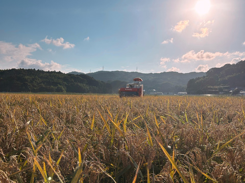 令和６年産　元気つくし　白米4.5Kg 【福岡の農家直送】