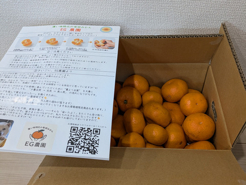 【超数量限定】丹生系晩生 有田みかん 3キロ箱 和歌山県 有田 みかん 2S~3Lサイズ　家庭用キズあり