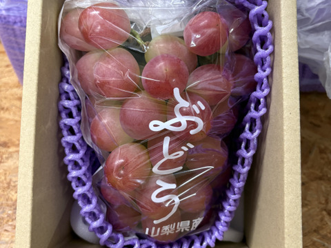 山梨限定】サンシャインレッド1〜2房《限定販売》食べチョクぶどう