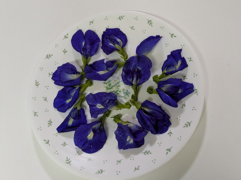 ぶどう（藤稔）2房とバタフライピーの乾燥花3gセット