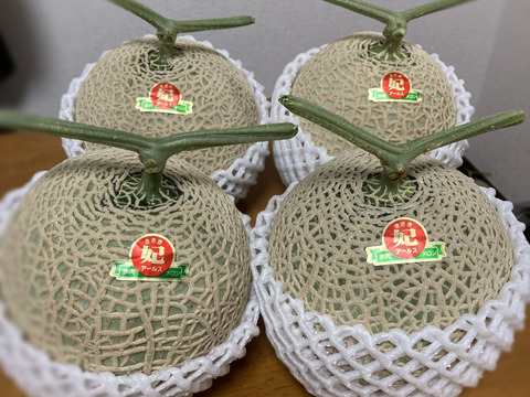 【赤肉メロン！規格外品】アールスメロン(800g~1kg×4玉)