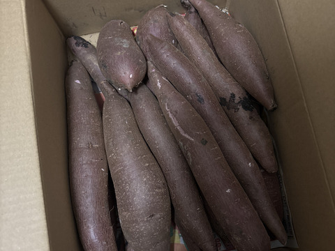 ふくむらさきS-M3kg！糖度高くアントシアニン豊富なさつまいも