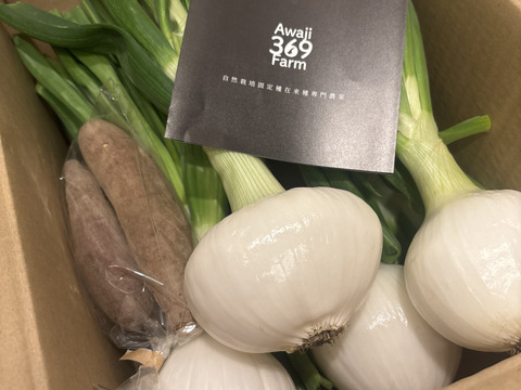 淡路島新玉葱自然栽培3キロ【固定種 在来種　完全農薬不使用　無肥料栽培　種子消毒無し【有機JAS法で認められた農薬・肥料・土壌改良剤も一切不使用】自然の力だけで栽培　数量限定予約販売開始ご予約順次発送