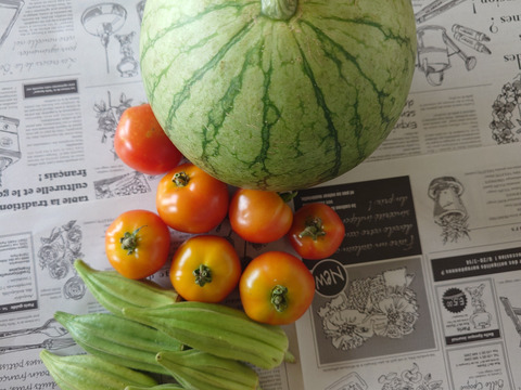 『在来種ゴーヤ自然栽培』【農薬完全不使用 完全無肥料栽培 】！淡路島産〙【1キロ】自然農法