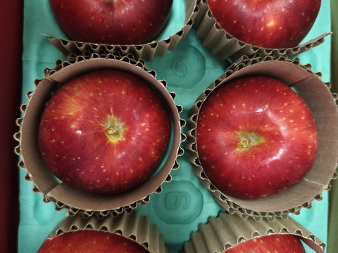 【希少種】【紅ロマン】（2kg・9〜10個入り）パリパリ・ジューシー贈答レベル家庭用