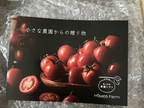 【朝どれ】本当に甘い！美健トマト®︎（1.0キロ）　※特別価格で販売中