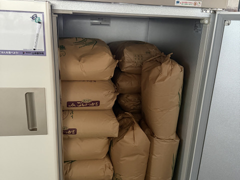 【新米】令和7年産　青森県産はれわたり玄米10キロ　※お願い※【商品説明欄を最後まで必ず読んで下さい】