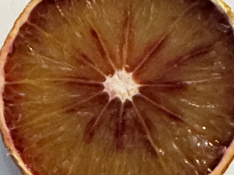 ブラッドオレンジ　モロ