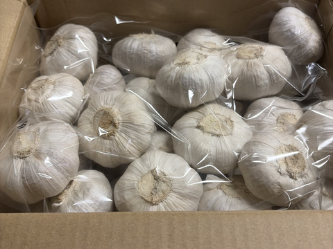 《豊かな香り》乾燥にんにく２KG 五島列島産 自然農業での栽培 ニンニク
