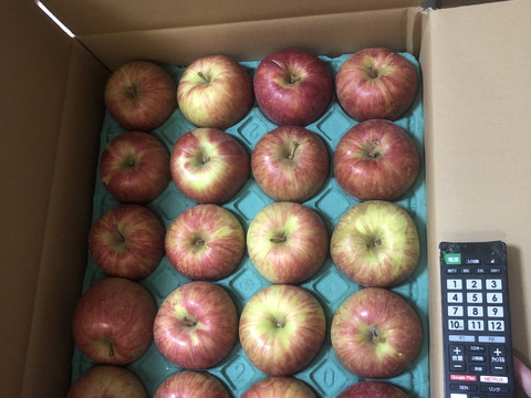 予約規格外サンつがる　5キロ