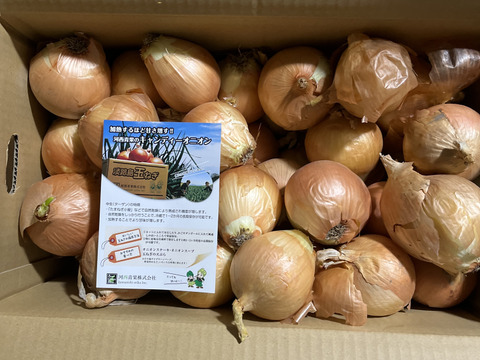 【数量限定特別価格】【数量限定：大家族・飲食店応援企画】淡路島産玉ねぎ訳あり10ｋｇ